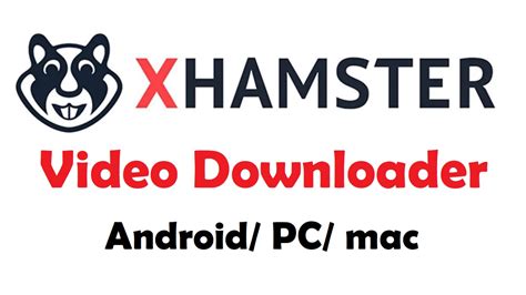 xhamster video not available|New video player on xHamster!